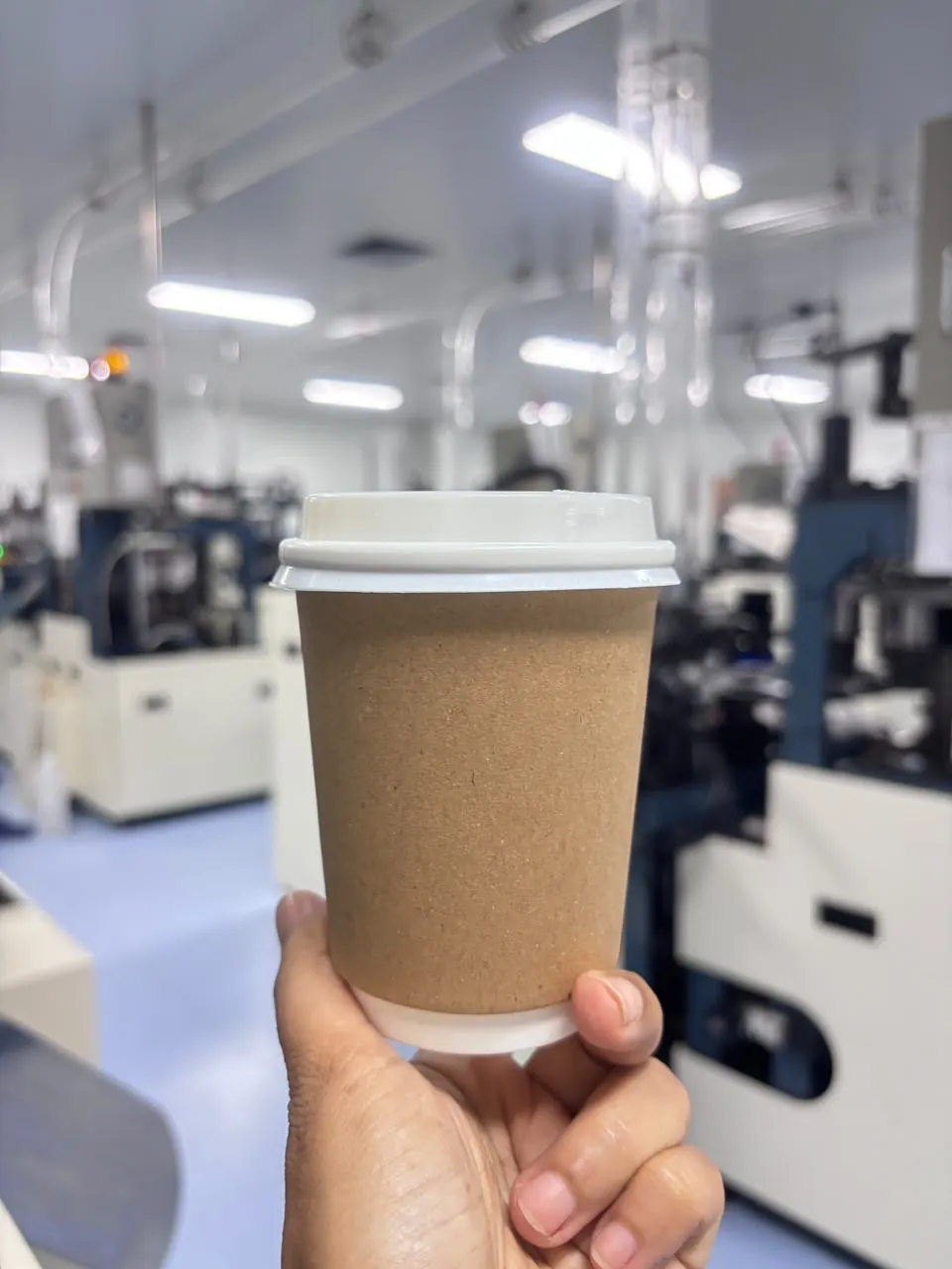 Double wall paper cups