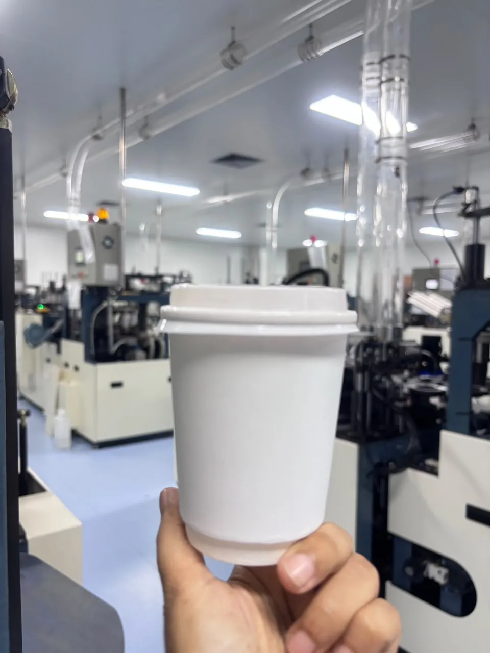 Double wall cup with lid