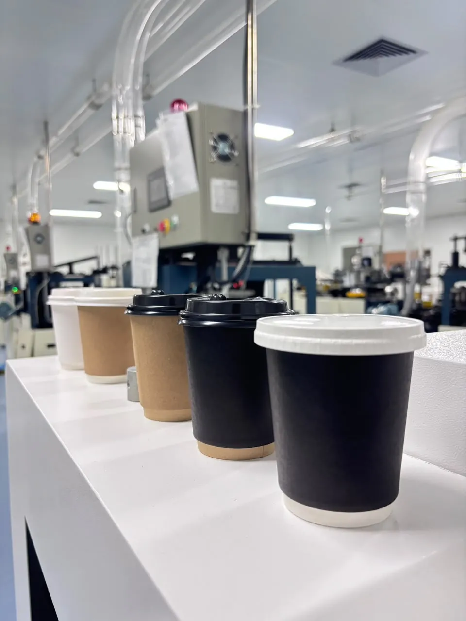 White double wall cup